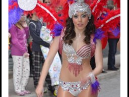 Carnaval de Mula 2014